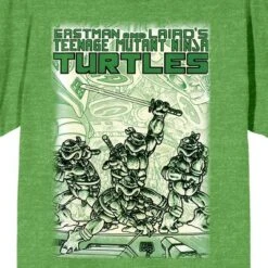 Teenage Mutant Ninja Turtles TMNT Comic Origins Monotone Art Crew Neck Short Sleeve Green Heather Women's T-shirt