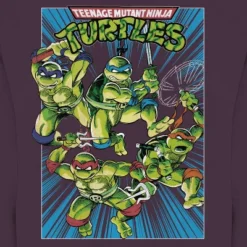 Men's Viacom Teenage Mutant Ninja Turtles Graphic Pullover Sweatshirt - Plum Purple