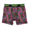 Youth Boys Teenage Mutant Ninja Turtles Boxer Brief Underwear 5-Pack