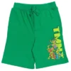 Teenage Mutant Ninja Turtles French Terry 2 Pack Shorts Black / Green