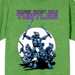 Teenage Mutant Ninja Turtles World Of TMNT Montone Turtles Circle Art Crew Neck Short Sleeve Green Heather Women's T-shirt